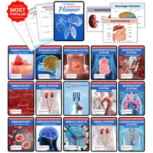Integumentary bundle
